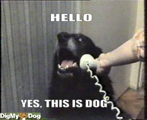 Is this is the spay and neuter hotline? Is this is the spay and neuter hotline?