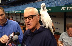 Joe Maddon