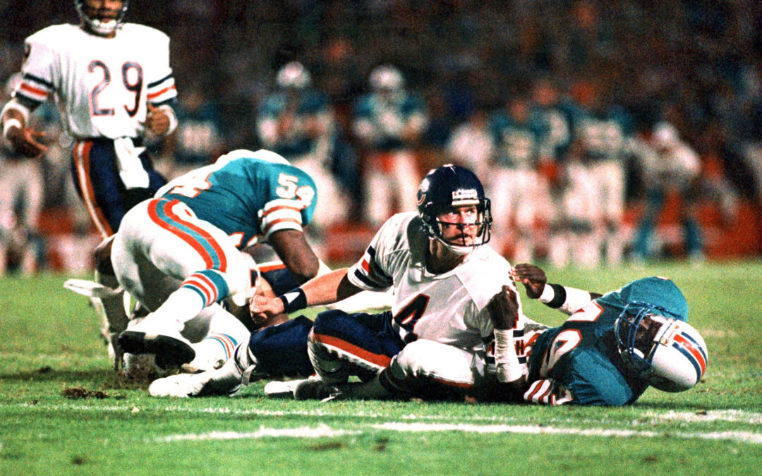 Bears-Dolphins