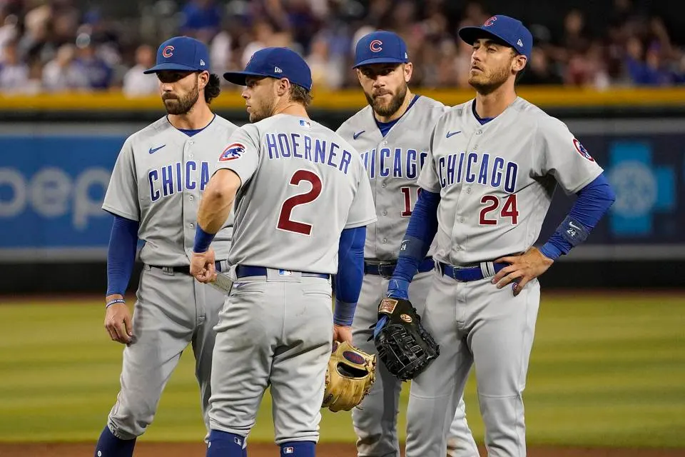 Cubs milling around